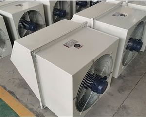 防爆（bào）邊牆軸流（liú）排風機